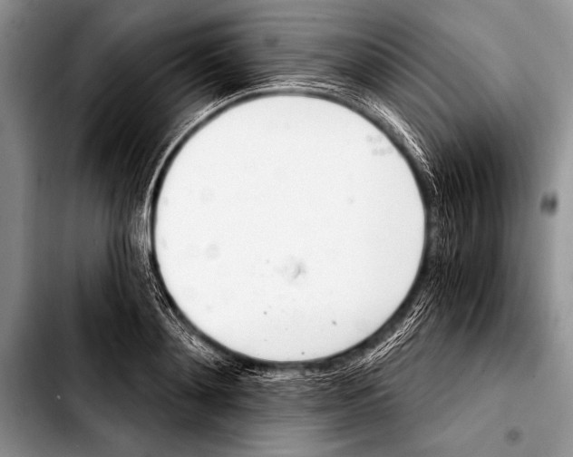 X0000103400892200810100931