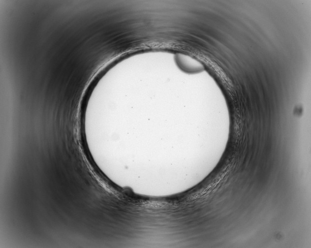 X0000103400894200810100931