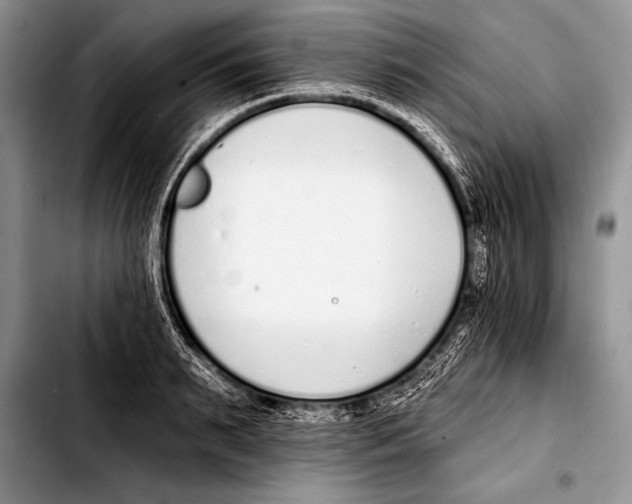 X0000103400895200810100931