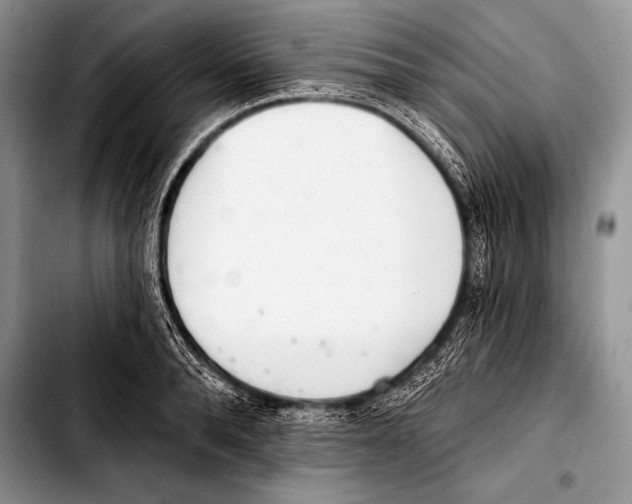 X0000103400896200810100931