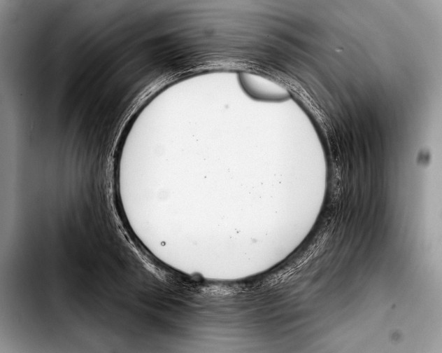 X0000103400898200810100931