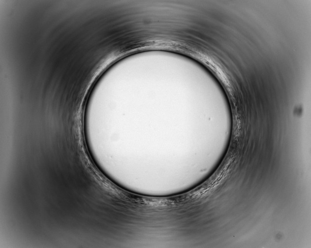 X0000103400899200810100931