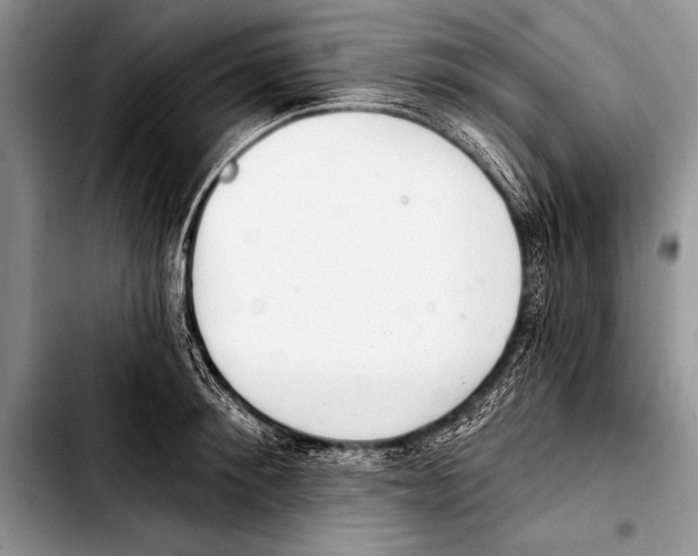 X0000103400900200810100931