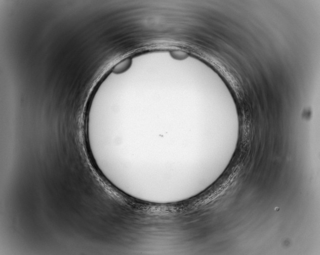 X0000103400901200810100931