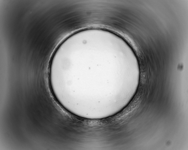 X0000103400903200810100931