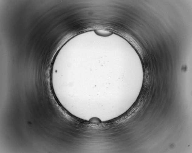 X0000103400906200810100931