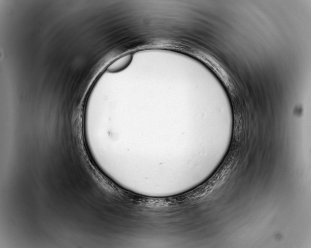 X0000103400907200810100931