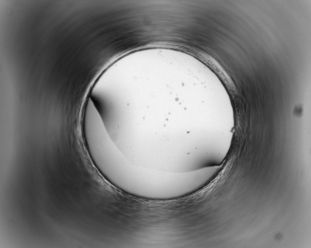 X0000103400908200810100931