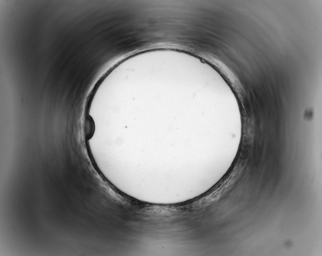 X0000103400910200810100931