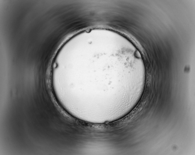 X0000103400911200810100931