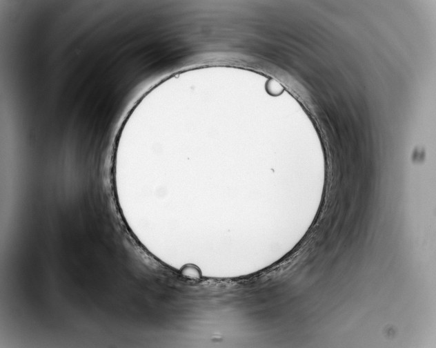 X0000103400912200810100931