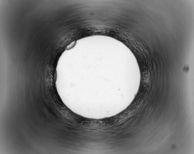 X0000103400916200810100930