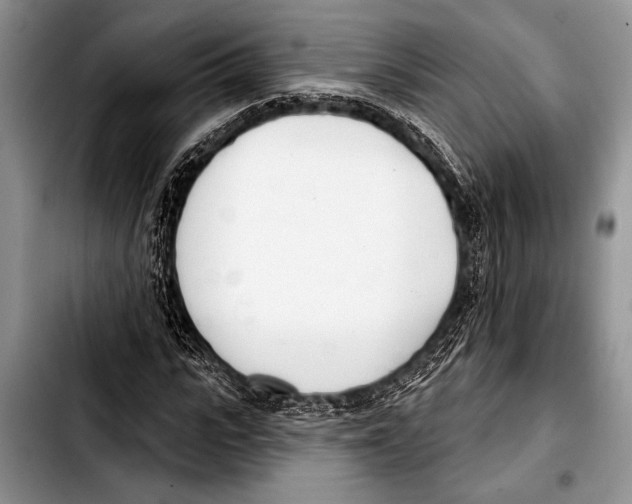 X0000103400919200810100930