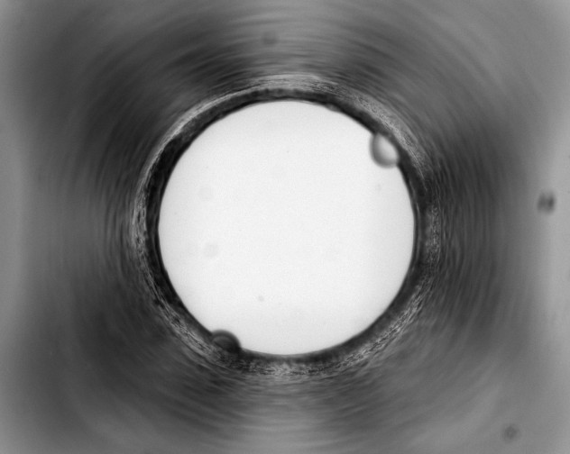 X0000103400923200810100930