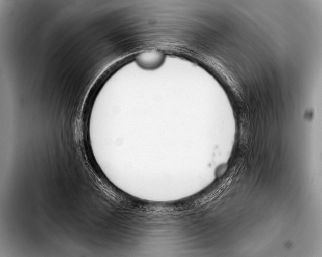 X0000103400924200810100930