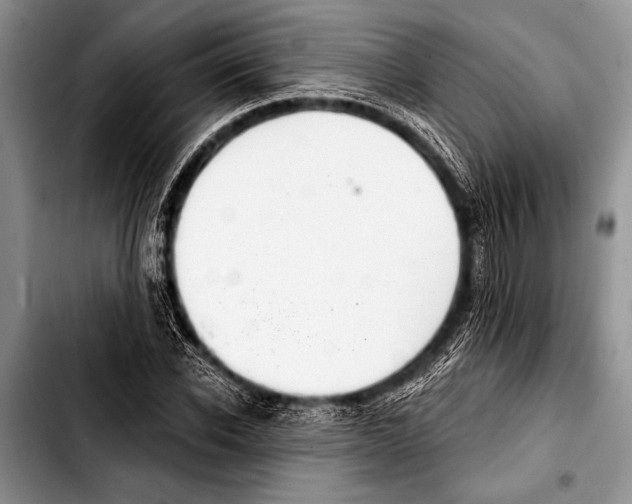 X0000103400926200810100930