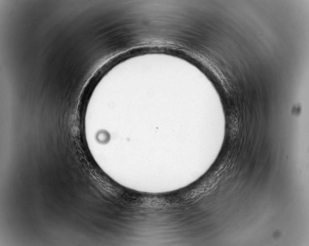 X0000103400927200810100930