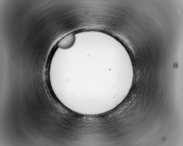 X0000103400928200810100930