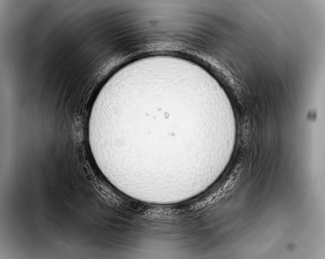 X0000103400929200810100930