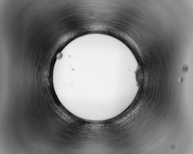 X0000103400930200810100930