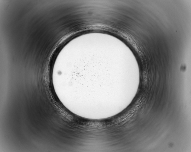 X0000103400931200810100930