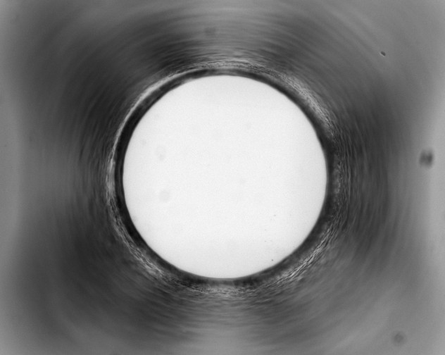 X0000103400932200810100930