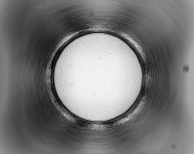 X0000103400933200810100930