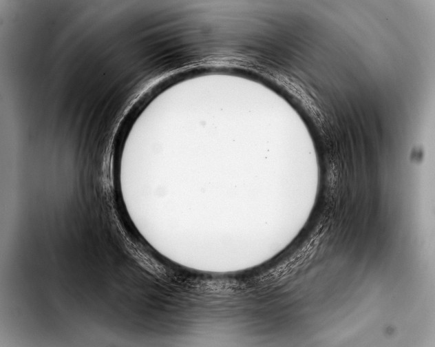 X0000103400934200810100930