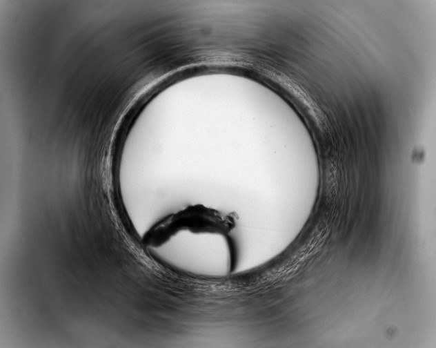 X0000103400935200810100930