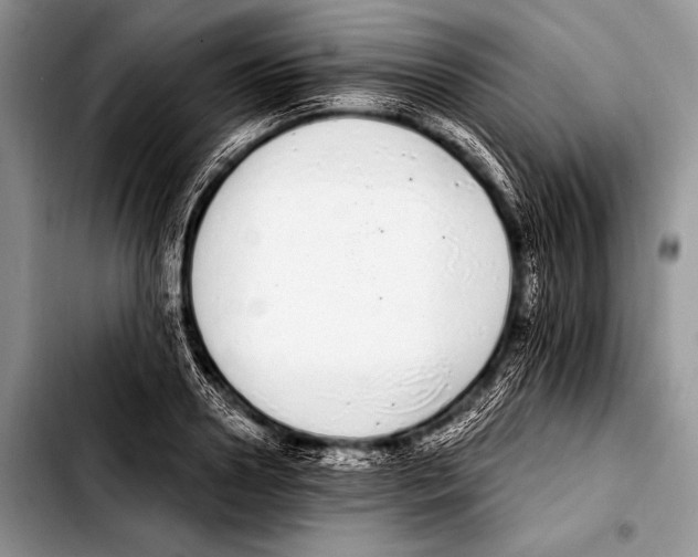 X0000103400938200810100930