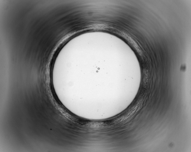 X0000103400939200810100930