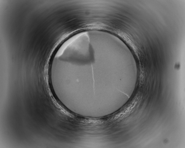 X0000103400941200810100930