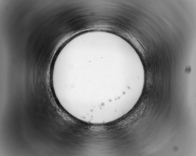 X0000103400944200810100930