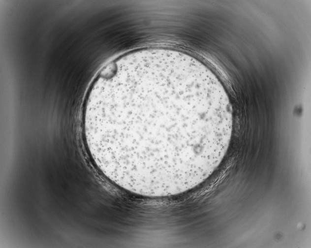 X0000103400948200810100930