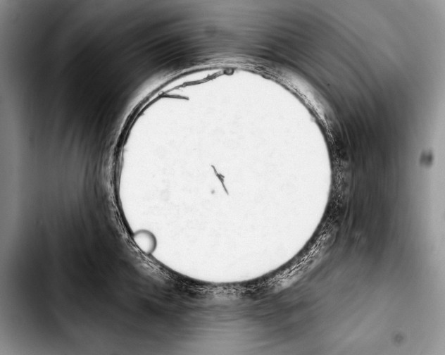 X0000103400952200810100930