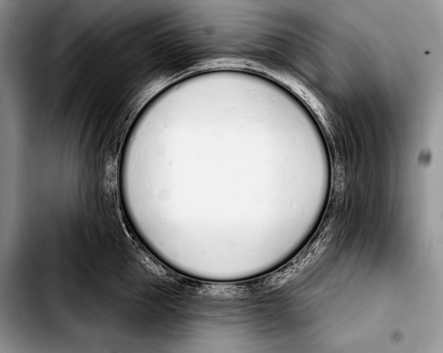 X0000103400953200810100930