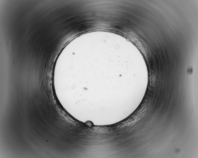 X0000103400954200810100930