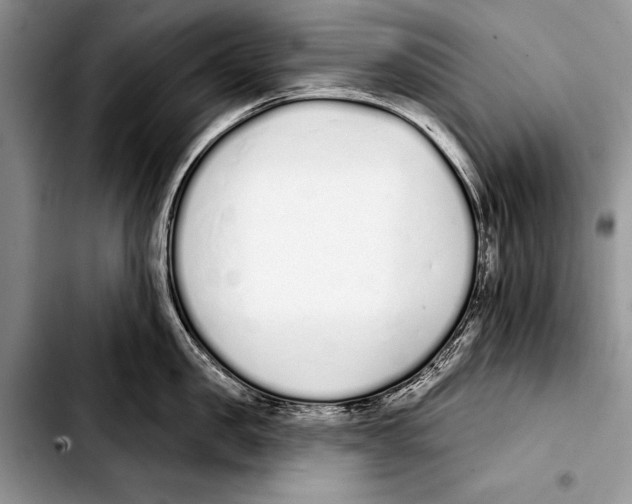 X0000103400957200810100931