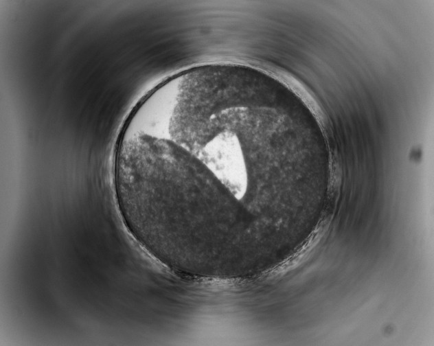 X0000103400958200810100931