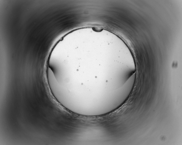 X0000103400960200810100931