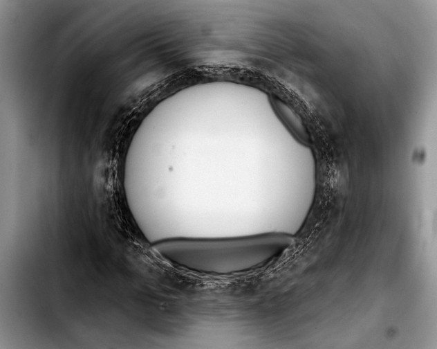 X0000103400965200810100930