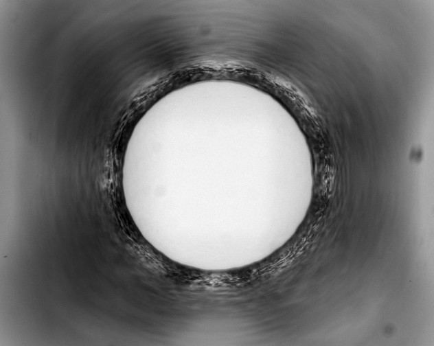 X0000103400966200810100930