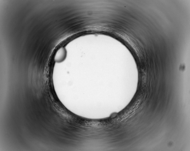 X0000103400971200810100930