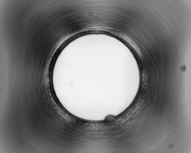 X0000103400972200810100930