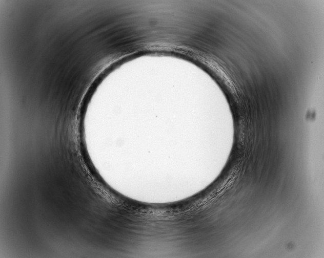 X0000103400976200810100930