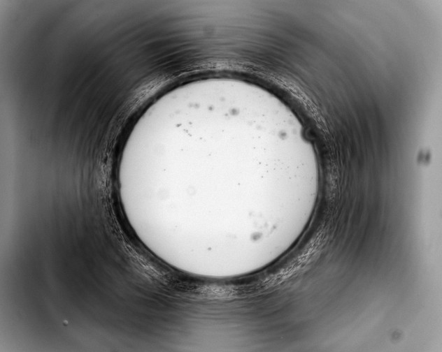 X0000103400977200810100930