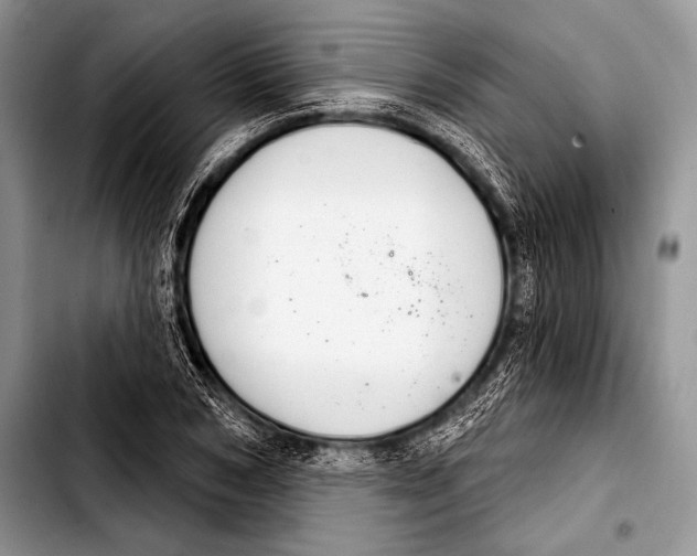 X0000103400978200810100930