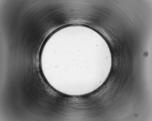 X0000103400980200810100930