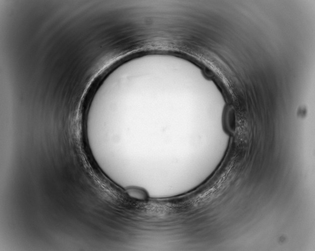 X0000103400981200810100930