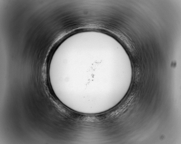 X0000103400982200810100930